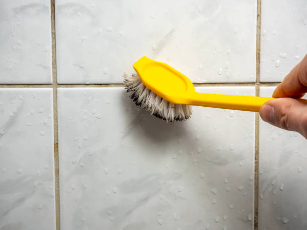 Best Commercial Mold Removal  in Watertown, WI