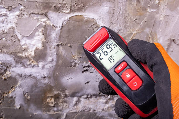 Best Emergency Mold Removal  in Watertown, WI