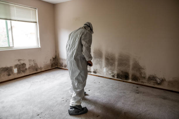 Best Mold Testing  in Watertown, WI